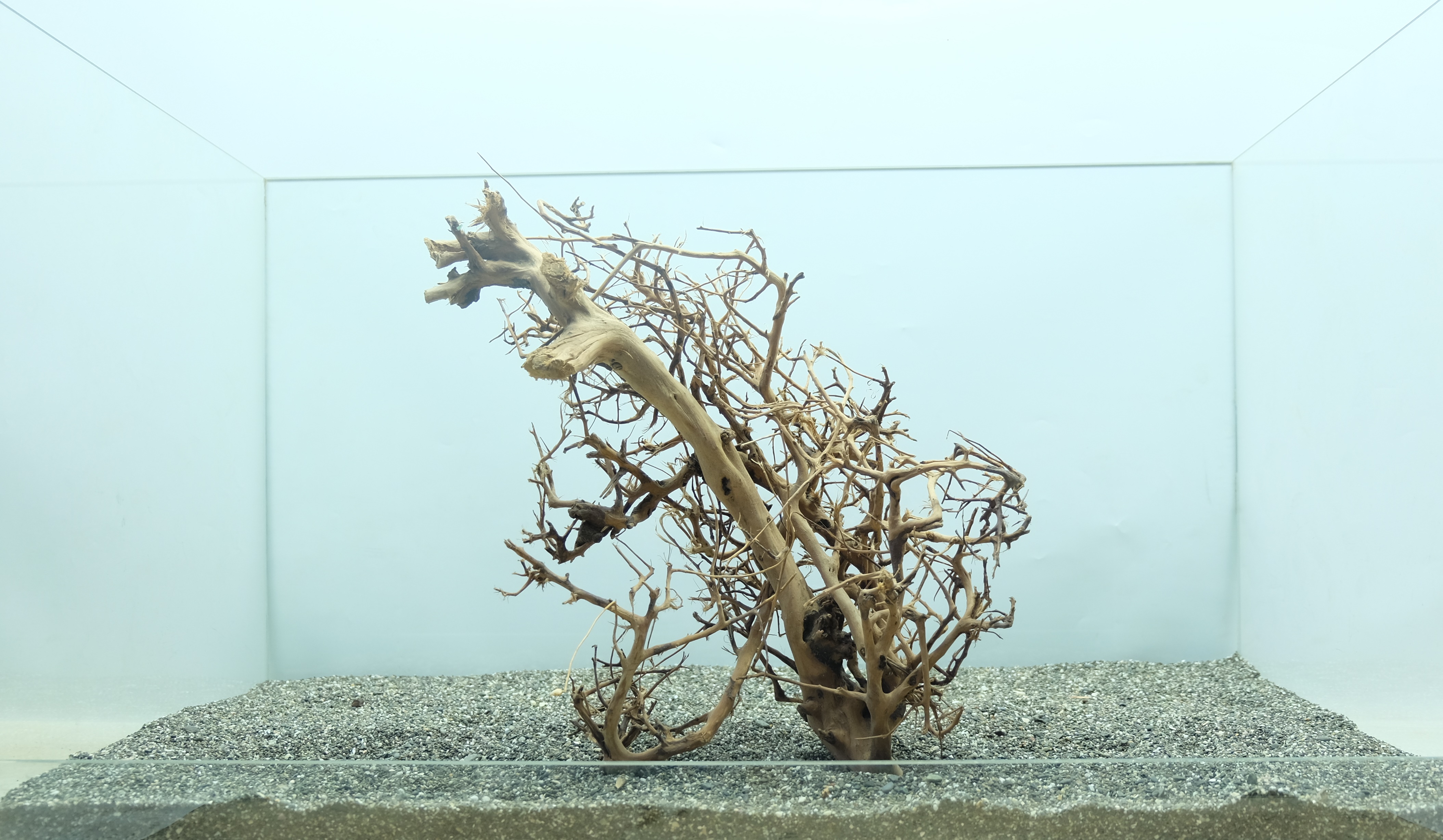 DECOTOP Okinawa 269 - Натуральная коряга для аквариумов от 40 литров, 38х29х13 см