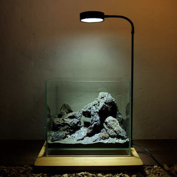 Преимущества светодиодных светильников для аквариума