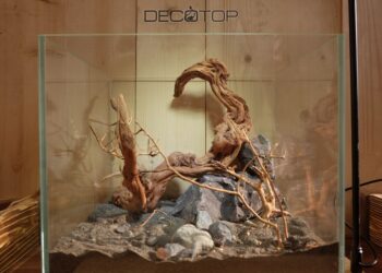 DECOTOP-Bio_Space-13L-(10)-