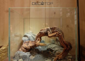 DECOTOP-Bio_Space-13L-(11)-