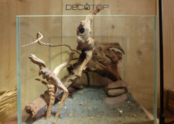 DECOTOP-Bio_Space-13L-(12)-