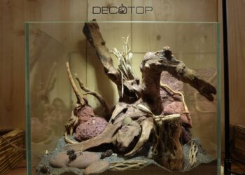DECOTOP-Bio_Space-13L-(14)-