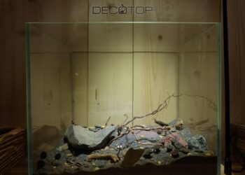DECOTOP-Bio_Space-13L-(15)-