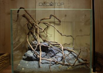 DECOTOP-Bio_Space-13L-(17)-