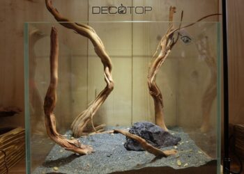 DECOTOP-Bio_Space-13L-(18)-