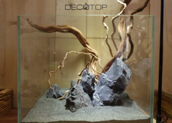 DECOTOP-Bio_Space-13L-(2)-