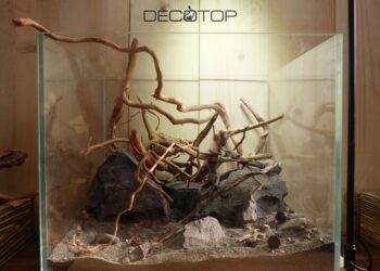 DECOTOP-Bio_Space-13L-(22)-