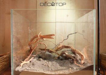 DECOTOP-Bio_Space-13L-(23)-