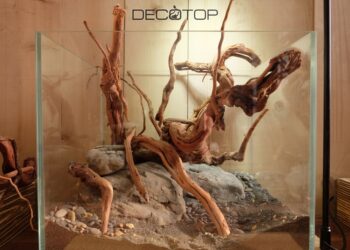 DECOTOP-Bio_Space-13L-(24)-