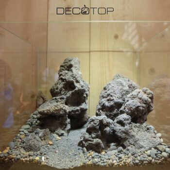 DECOTOP-Bio_Space-13L-(4)-