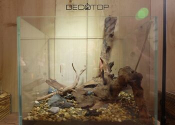 DECOTOP-Bio_Space-13L-(6)-