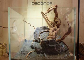 DECOTOP-Bio_Space-13L-(7)-