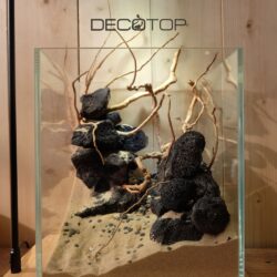 DECOTOP-Bio_Space-8L-(23)-