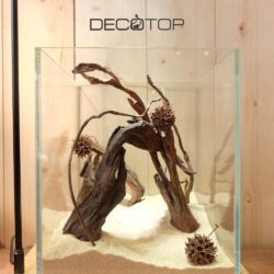 DECOTOP-Bio_Space-8L-(3)-