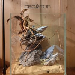 DECOTOP-Bio_Space-8L-(9)-