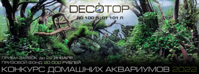 DECOTOP_Banner_КДА 22