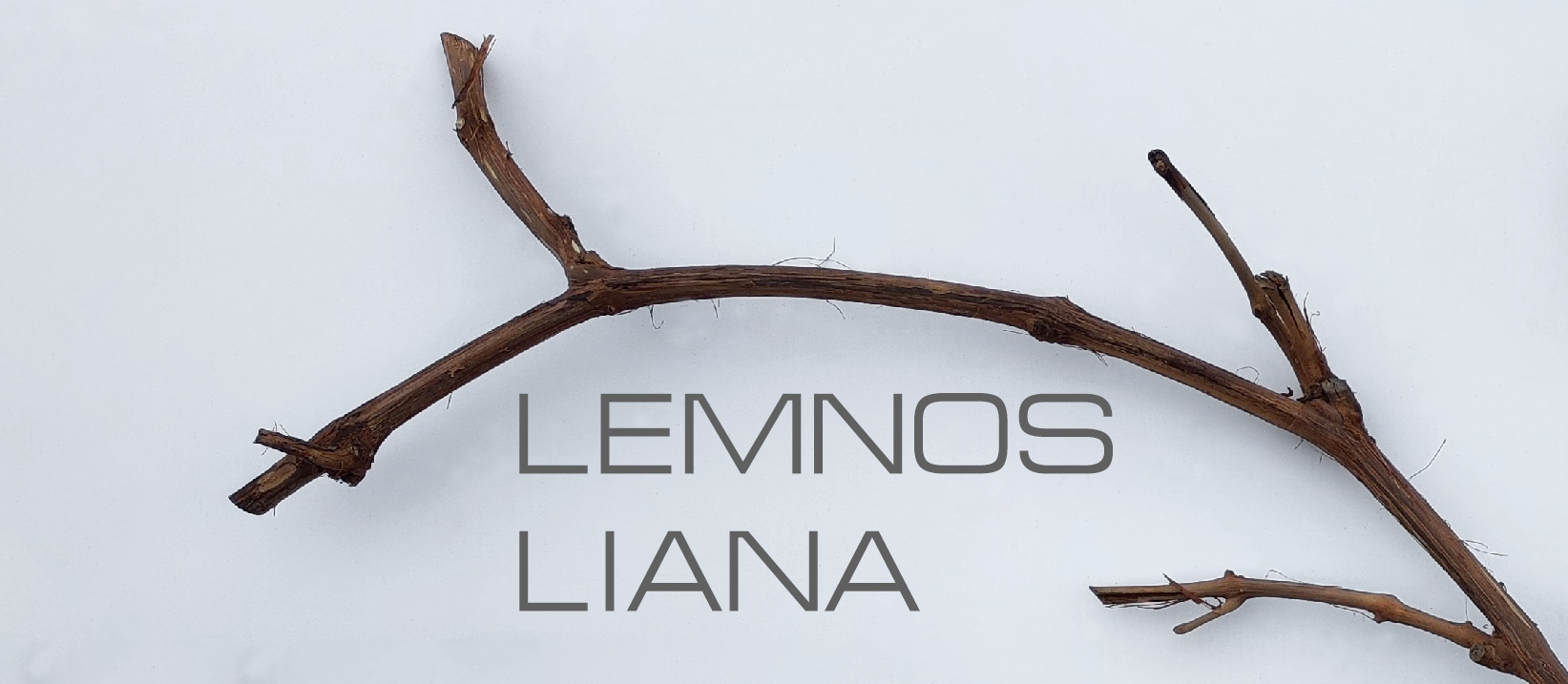 Lemnos liana