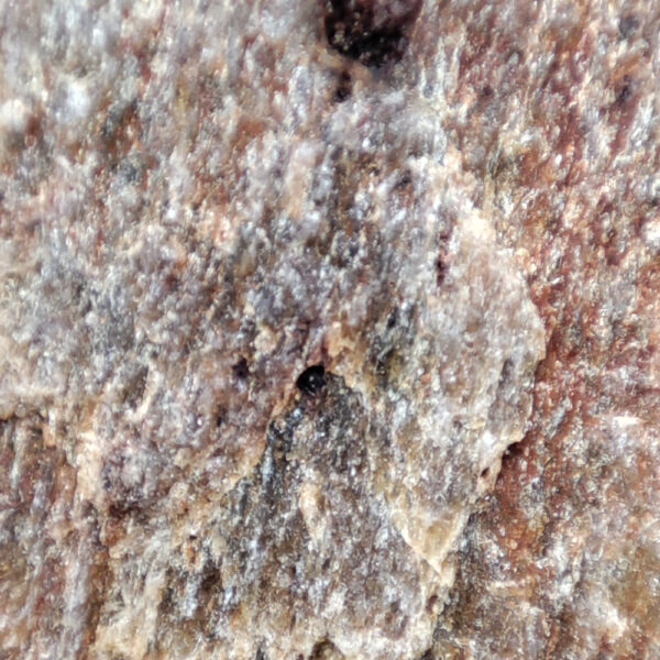 DECOTOP Fossil - Природная галька с структурой окаменевшего дерева. Макро фото ближе.