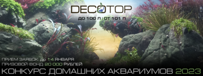 DECOTOP_Banner_КДА-23_2