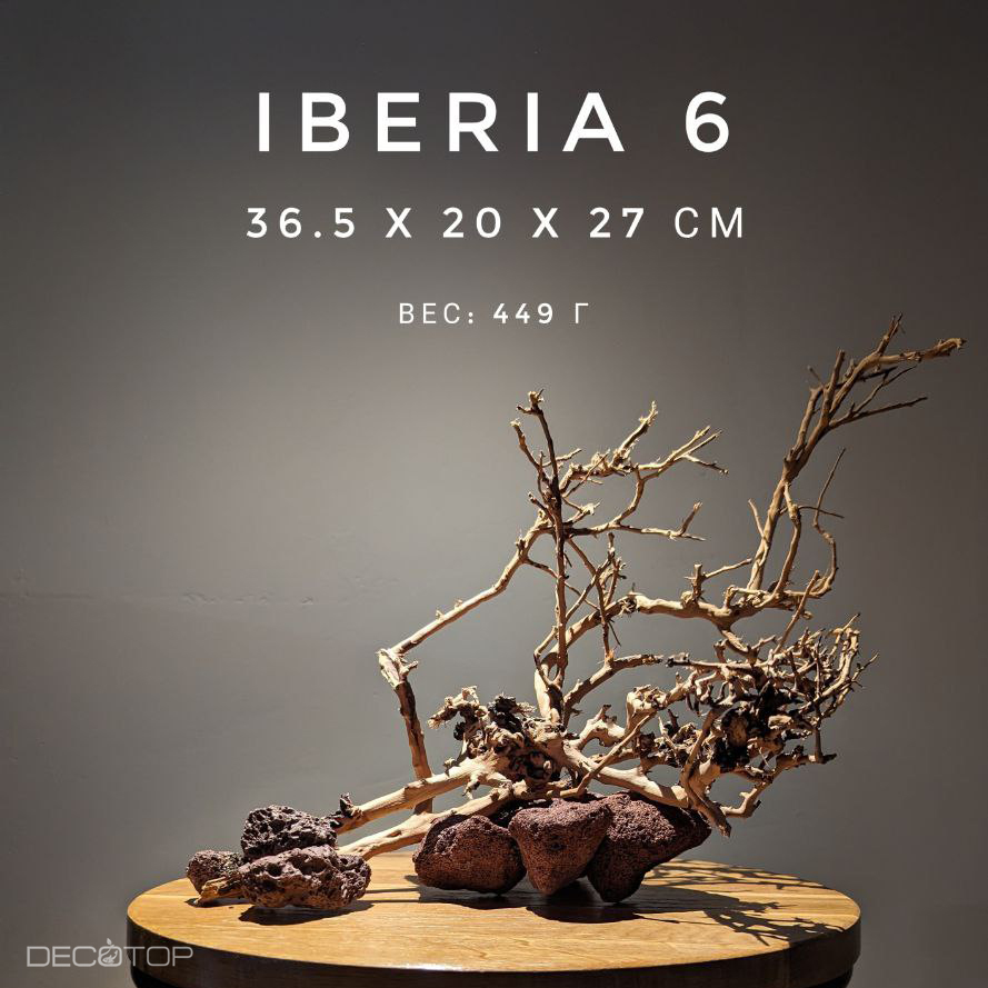 DECOTOP Iberia 6