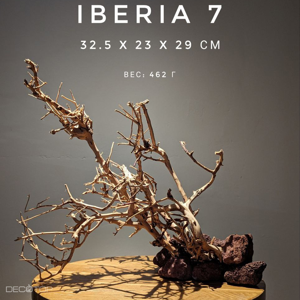 DECOTOP Iberia 7