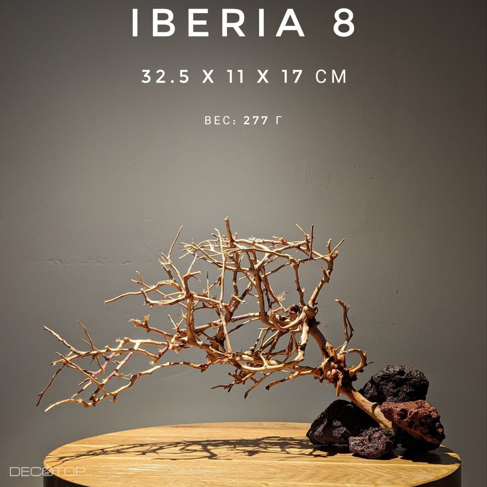 DECOTOP Iberia 8