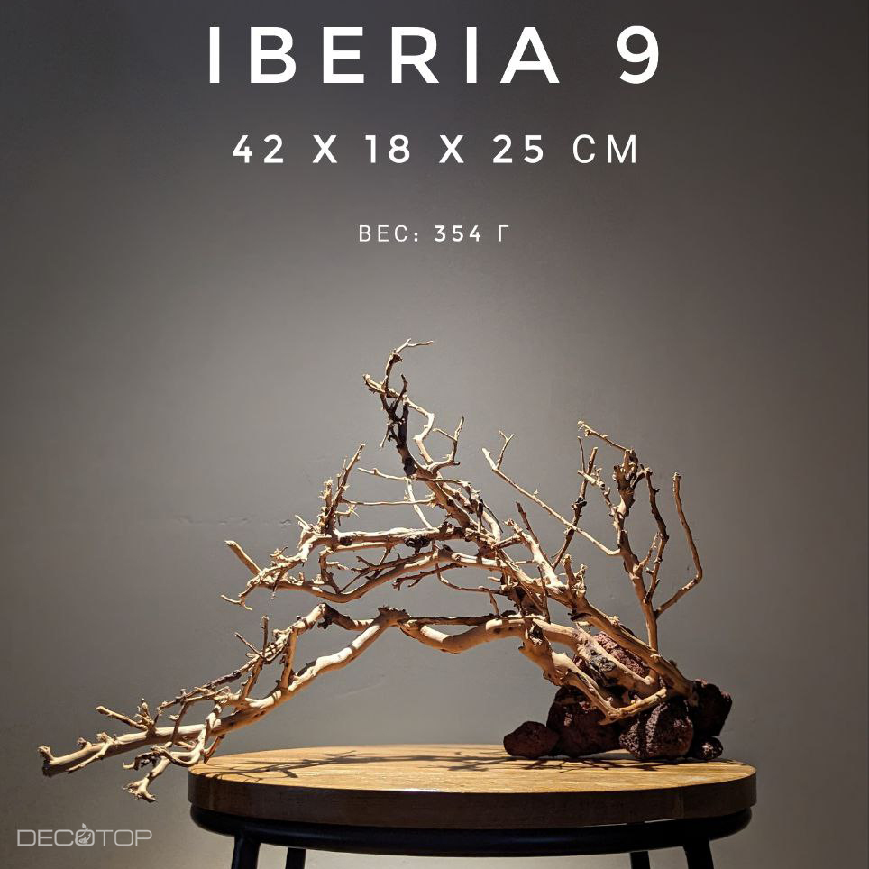 DECOTOP Iberia 9